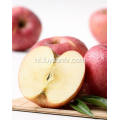 New Crop Fresh Goedkope Qinguan apple (64-198)